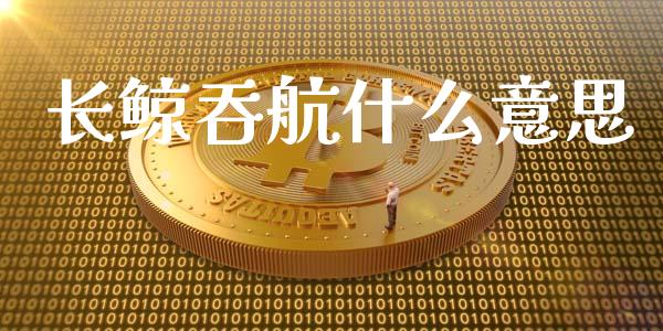 长鲸吞航什么意思_https://www.gongyisiwang.com_期货公司手续费排名_第1张