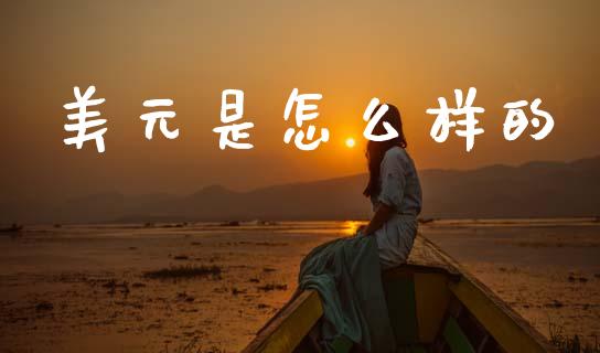 美元是怎么样的_https://www.gongyisiwang.com_道指_第1张