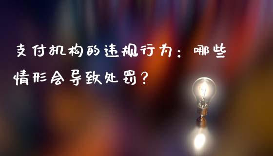 支付机构的违规行为：哪些情形会导致处罚？_https://www.gongyisiwang.com_股指期货交易手续费_第1张