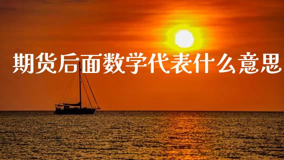 期货后面数学代表什么意思_https://www.gongyisiwang.com_焦炭期货手续费_第1张