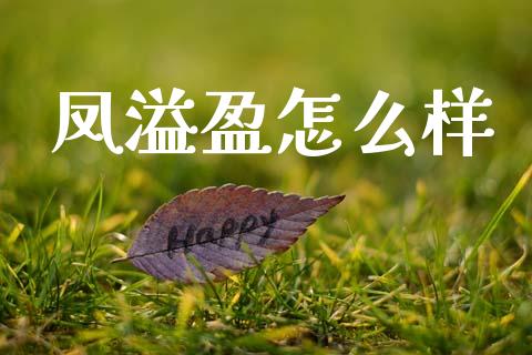 凤溢盈怎么样_https://www.gongyisiwang.com_股指期货交易手续费_第1张