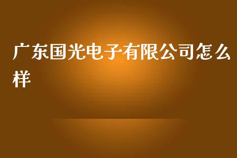 广东国光电子有限公司怎么样_https://www.gongyisiwang.com_焦炭期货手续费_第1张