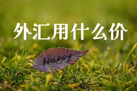 外汇用什么价_https://www.gongyisiwang.com_股指期货交易手续费_第1张