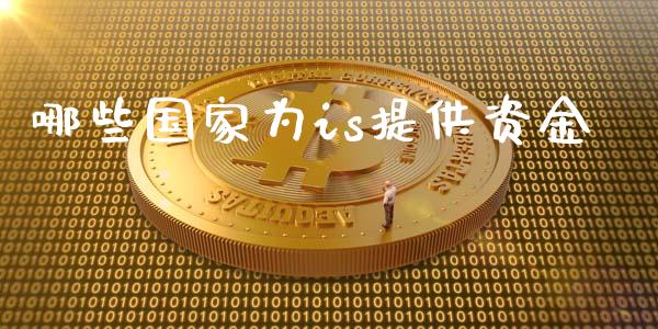 哪些国家为is提供资金_https://www.gongyisiwang.com_期货公司手续费排名_第1张