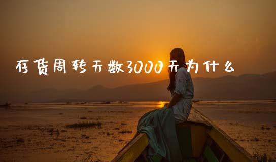 存货周转天数3000天为什么_https://www.gongyisiwang.com_股指期货交易手续费_第1张