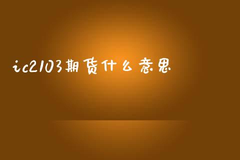ic2103期货什么意思_https://www.gongyisiwang.com_股指期货_第1张