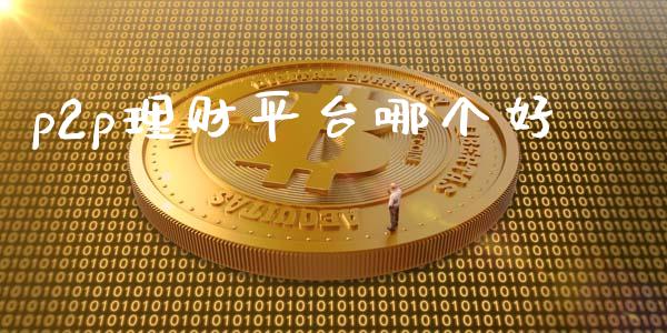 p2p理财平台哪个好_https://www.gongyisiwang.com_焦炭期货手续费_第1张