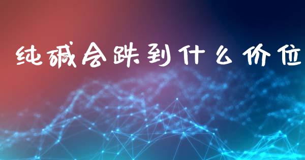 纯碱会跌到什么价位_https://www.gongyisiwang.com_焦炭期货手续费_第1张