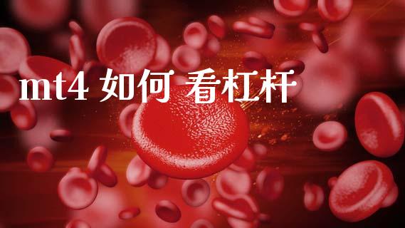 mt4 如何 看杠杆_https://www.gongyisiwang.com_股指期货_第1张
