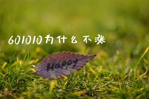 601010为什么不涨_https://www.gongyisiwang.com_股指期货交易手续费_第1张