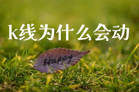 k线为什么会动_https://www.gongyisiwang.com_期货公司手续费排名_第1张