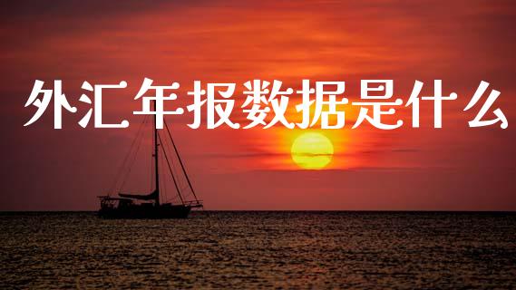 外汇年报数据是什么_https://www.gongyisiwang.com_广发期货手续费_第1张
