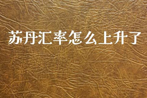 苏丹汇率怎么上升了_https://www.gongyisiwang.com_股指期货交易手续费_第1张