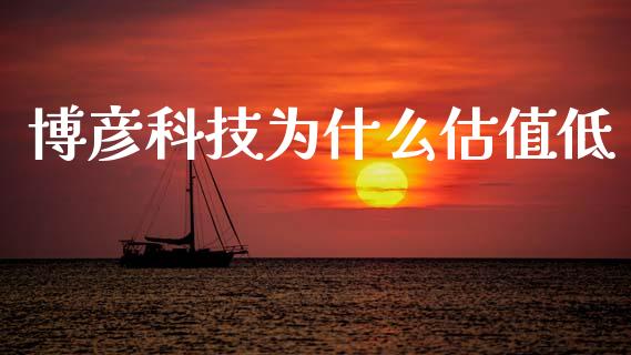 博彦科技为什么估值低_https://www.gongyisiwang.com_广发期货手续费_第1张