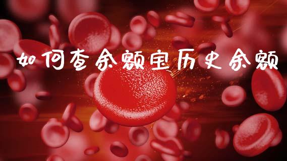 如何查余额宝历史余额_https://www.gongyisiwang.com_广发期货手续费_第1张