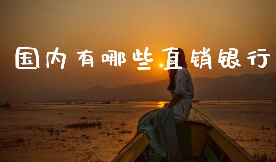 国内有哪些直销银行_https://www.gongyisiwang.com_股指期货交易手续费_第1张