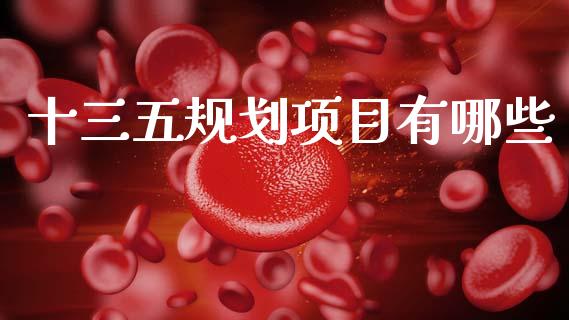 十三五规划项目有哪些_https://www.gongyisiwang.com_股指期货交易手续费_第1张