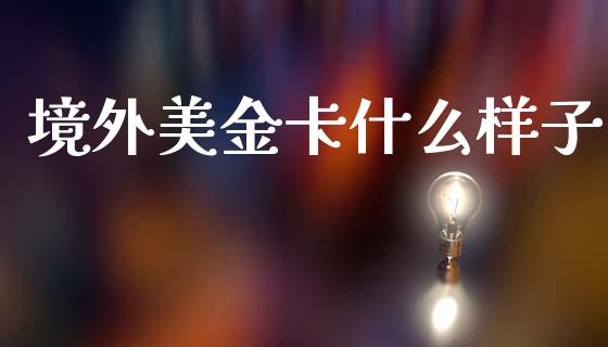 境外美金卡什么样子_https://www.gongyisiwang.com_股指期货_第1张