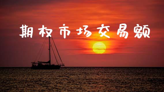 期权市场交易额_https://www.gongyisiwang.com_期货公司手续费排名_第1张