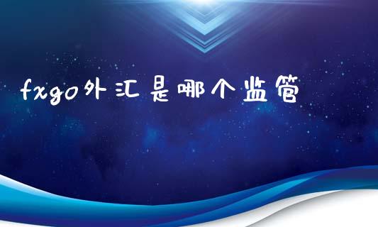 fxgo外汇是哪个监管_https://www.gongyisiwang.com_原油期货_第1张