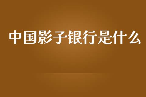 中国影子银行是什么_https://www.gongyisiwang.com_期货公司手续费排名_第1张