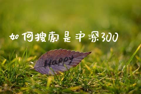 如何搜索是沪深300_https://www.gongyisiwang.com_原油期货_第1张