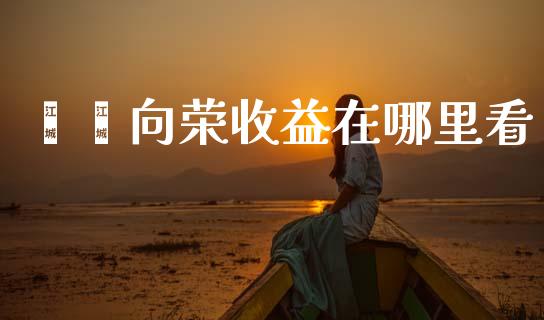 鑫鑫向荣收益在哪里看_https://www.gongyisiwang.com_期货公司手续费排名_第1张