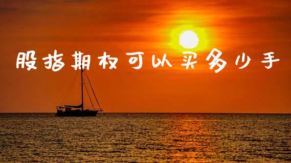股指期权可以买多少手_https://www.gongyisiwang.com_股指期货交易手续费_第1张