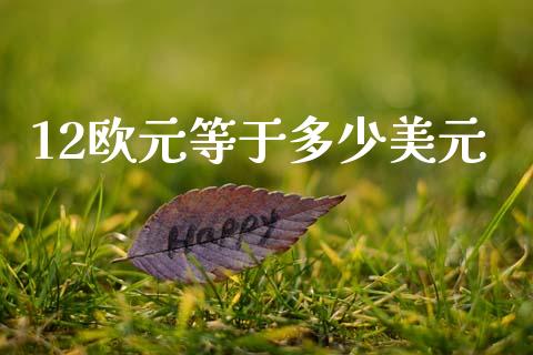 12欧元等于多少美元_https://www.gongyisiwang.com_股指期货_第1张