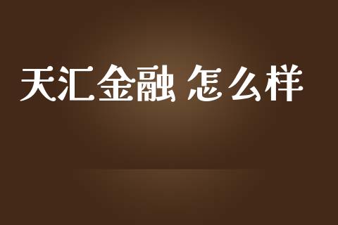 天汇金融 怎么样_https://www.gongyisiwang.com_股指期货交易手续费_第1张