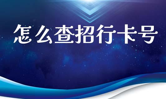 怎么查招行卡号_https://www.gongyisiwang.com_道指_第1张