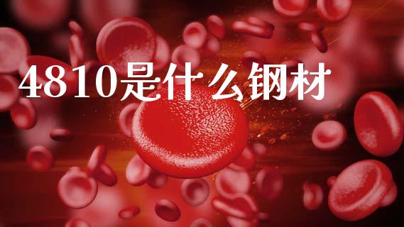 4810是什么钢材_https://www.gongyisiwang.com_广发期货手续费_第1张