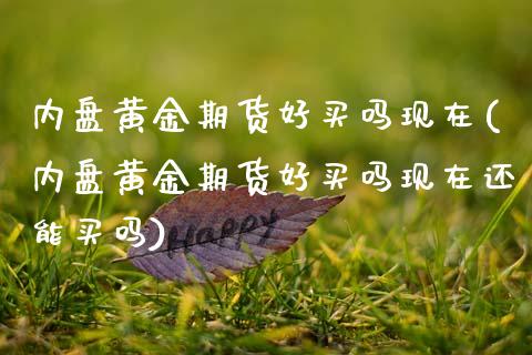 内盘黄金期货好买吗现在(内盘黄金期货好买吗现在还能买吗)_https://www.gongyisiwang.com_广发期货手续费_第1张