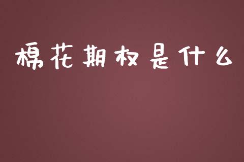 棉花期权是什么_https://www.gongyisiwang.com_广发期货手续费_第1张