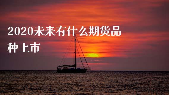 2020未来有什么期货品种上市_https://www.gongyisiwang.com_原油期货_第1张