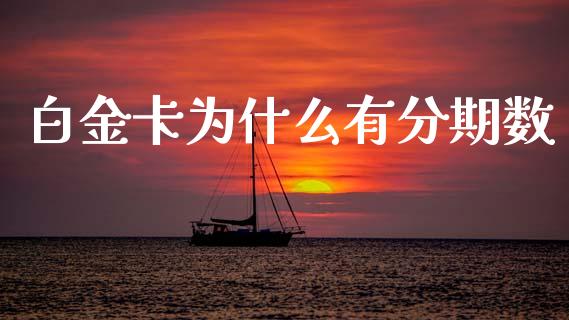 白金卡为什么有分期数_https://www.gongyisiwang.com_股指期货交易手续费_第1张