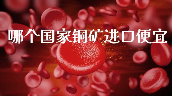 哪个国家铜矿进口便宜_https://www.gongyisiwang.com_期货公司手续费排名_第1张