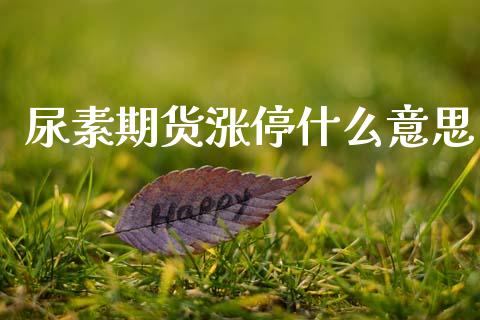 尿素期货涨停什么意思_https://www.gongyisiwang.com_恒指期货_第1张