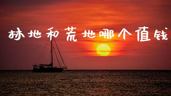 林地和荒地哪个值钱_https://www.gongyisiwang.com_广发期货手续费_第1张