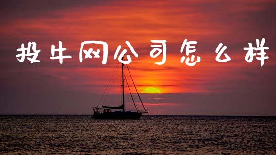 投牛网公司怎么样_https://www.gongyisiwang.com_期货公司手续费排名_第1张