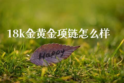 18k金黄金项链怎么样_https://www.gongyisiwang.com_股指期货_第1张