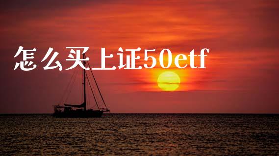 怎么买上证50etf_https://www.gongyisiwang.com_恒指期货_第1张