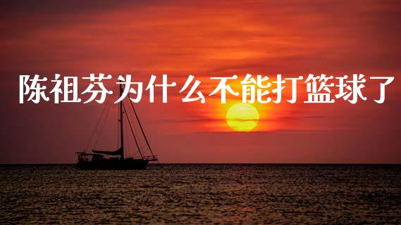 陈祖芬为什么不能打篮球了_https://www.gongyisiwang.com_焦炭期货手续费_第1张