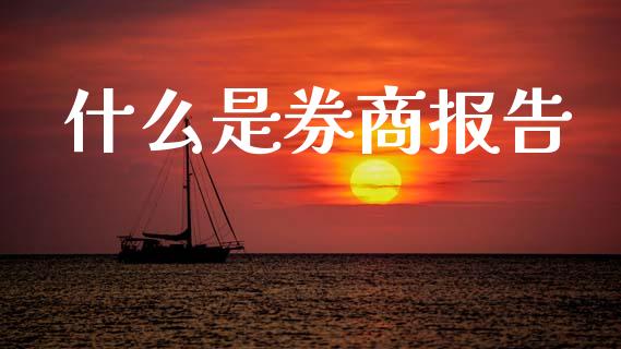什么是券商报告_https://www.gongyisiwang.com_焦炭期货手续费_第1张