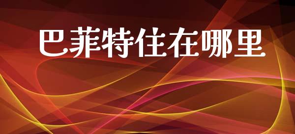 巴菲特住在哪里_https://www.gongyisiwang.com_原油期货_第1张