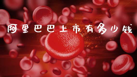 阿里巴巴上市有多少钱_https://www.gongyisiwang.com_恒指期货_第1张