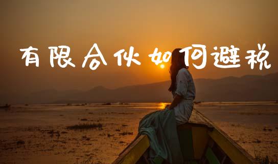 有限合伙如何避税_https://www.gongyisiwang.com_股指期货交易手续费_第1张