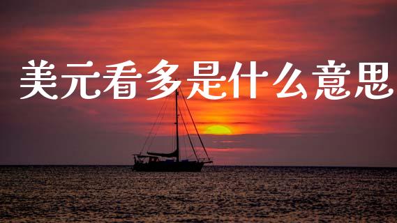 美元看多是什么意思_https://www.gongyisiwang.com_恒指期货_第1张