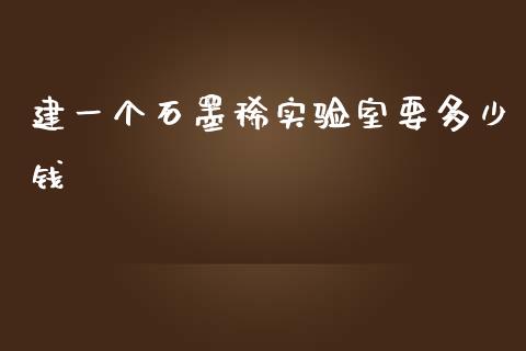 建一个石墨稀实验室要多少钱_https://www.gongyisiwang.com_广发期货手续费_第1张