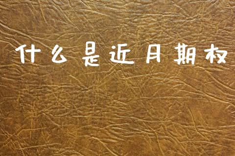 什么是近月期权_https://www.gongyisiwang.com_股指期货交易手续费_第1张